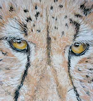 class-pastel-4